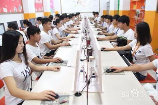 电子商务专业要做些什么